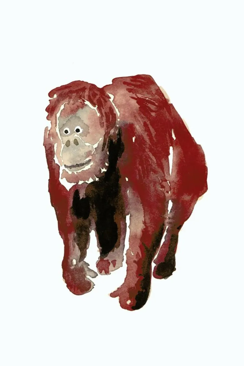 Orang Utan pellicola backlit da Farina Kuklinski