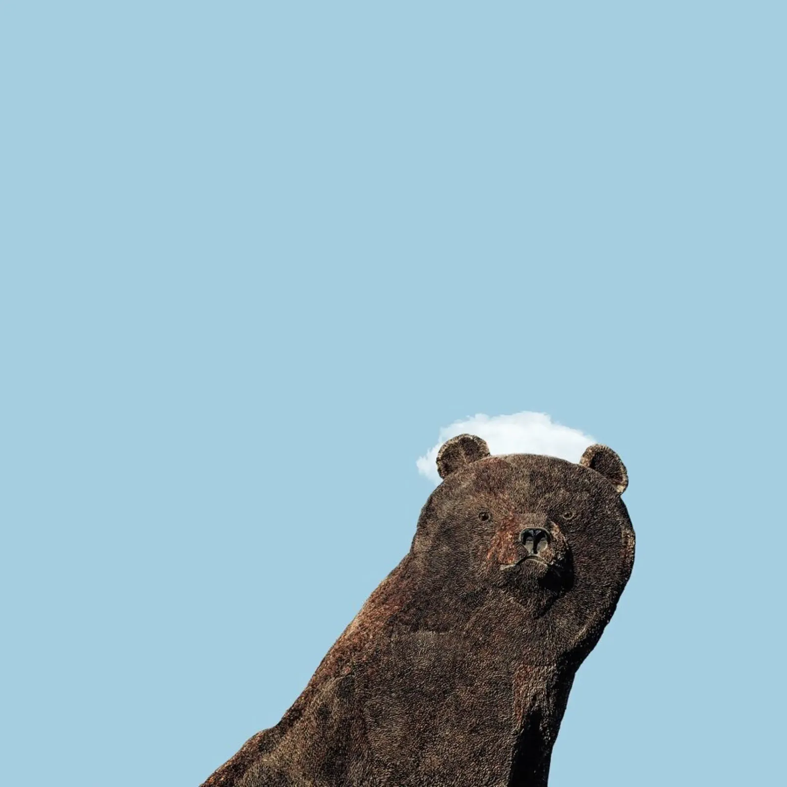 Bear pellicola backlit da Rafael Burato