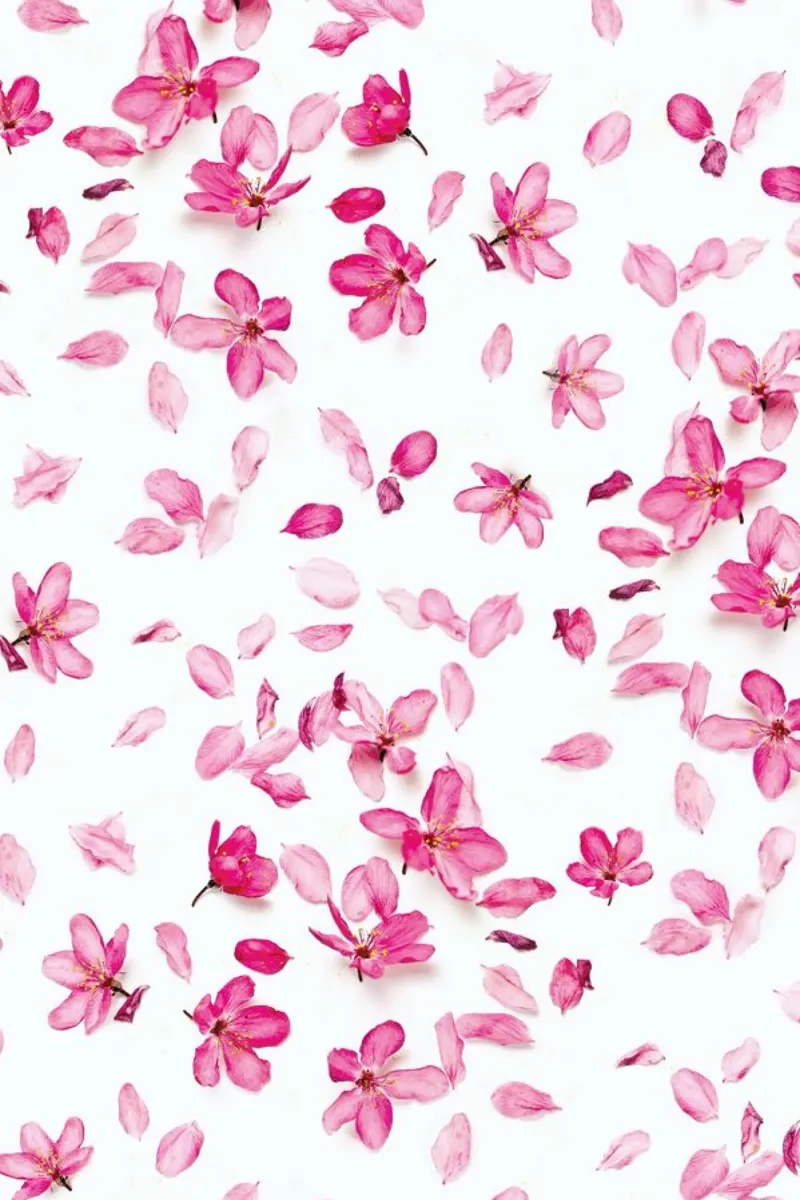 Blossom Fall pellicola backlit da Curious Collections by Marielle Leenders