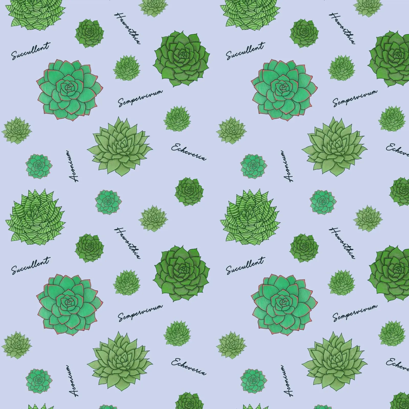 Motivo delle succulente poster da Loobs