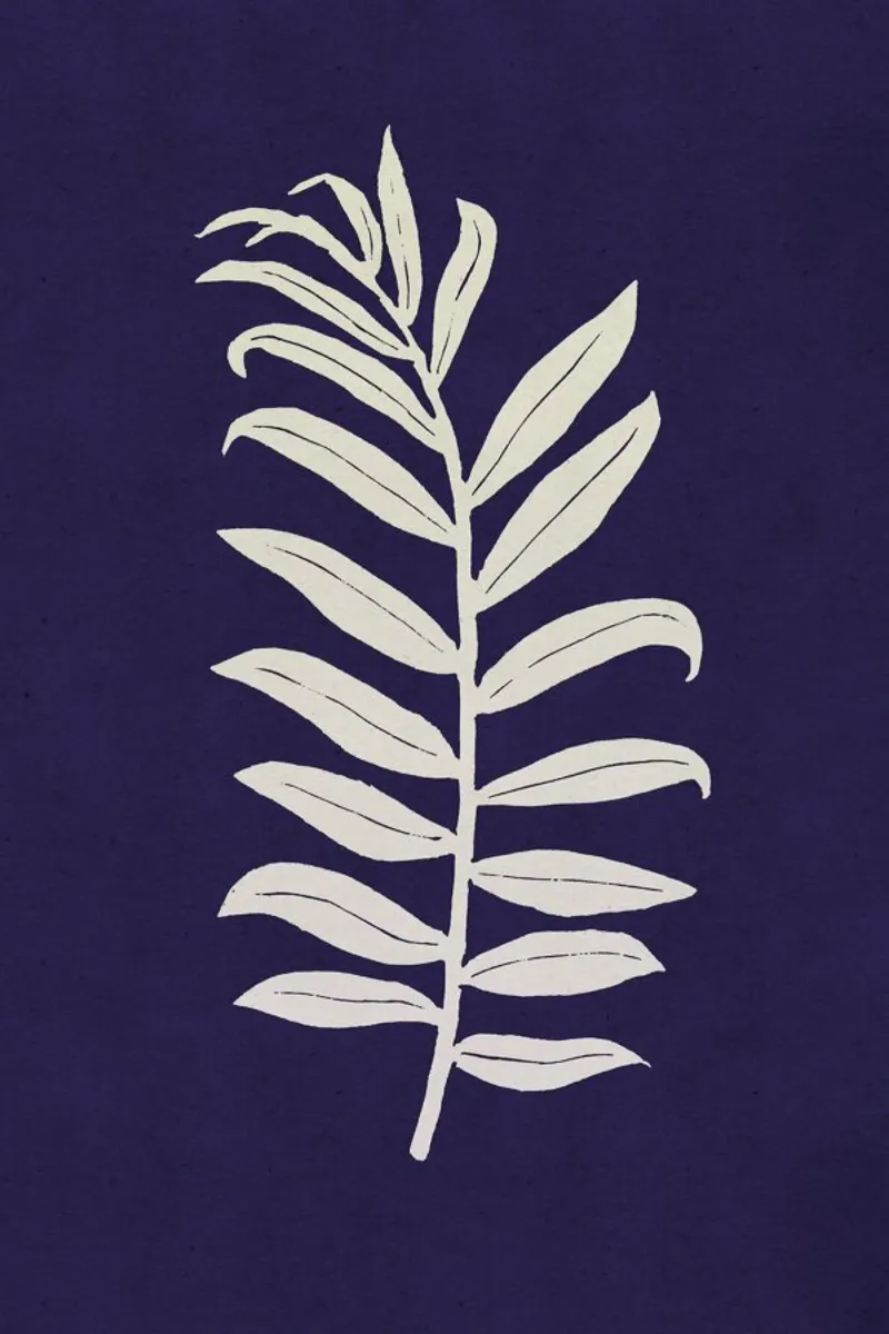 Areca Palmata Deepnight Moon poster con telaio in alluminio da Elena Veronese