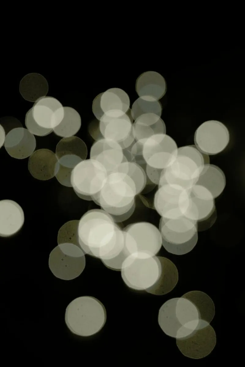 Fairytale Lights pellicola backlit da Studio Nahili