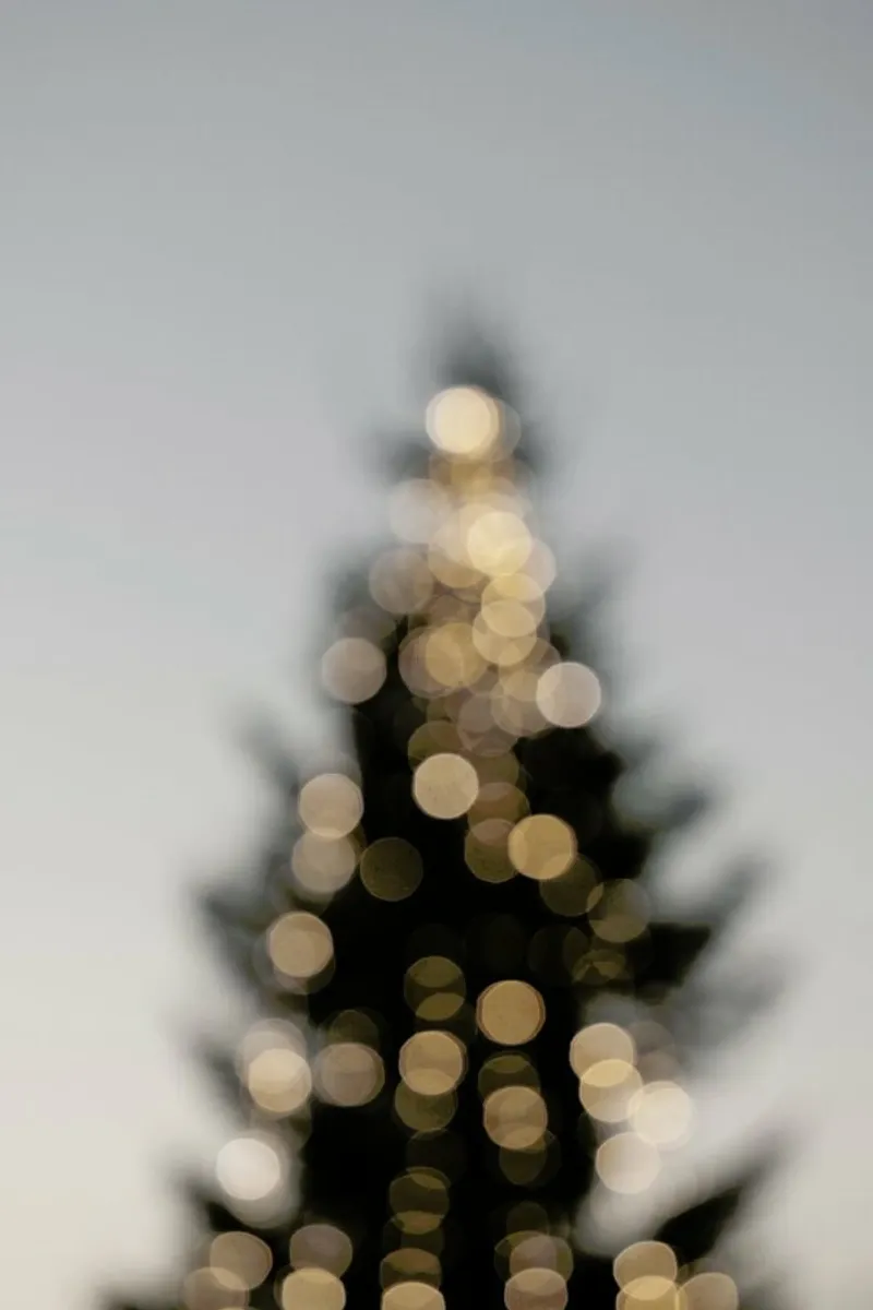 Merry Merry Christmas pellicola backlit da Studio Nahili