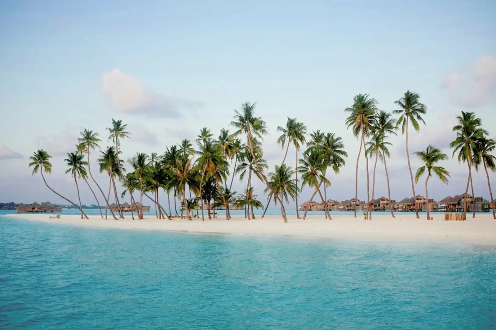 Maldives canvas by NET Talents GmbH