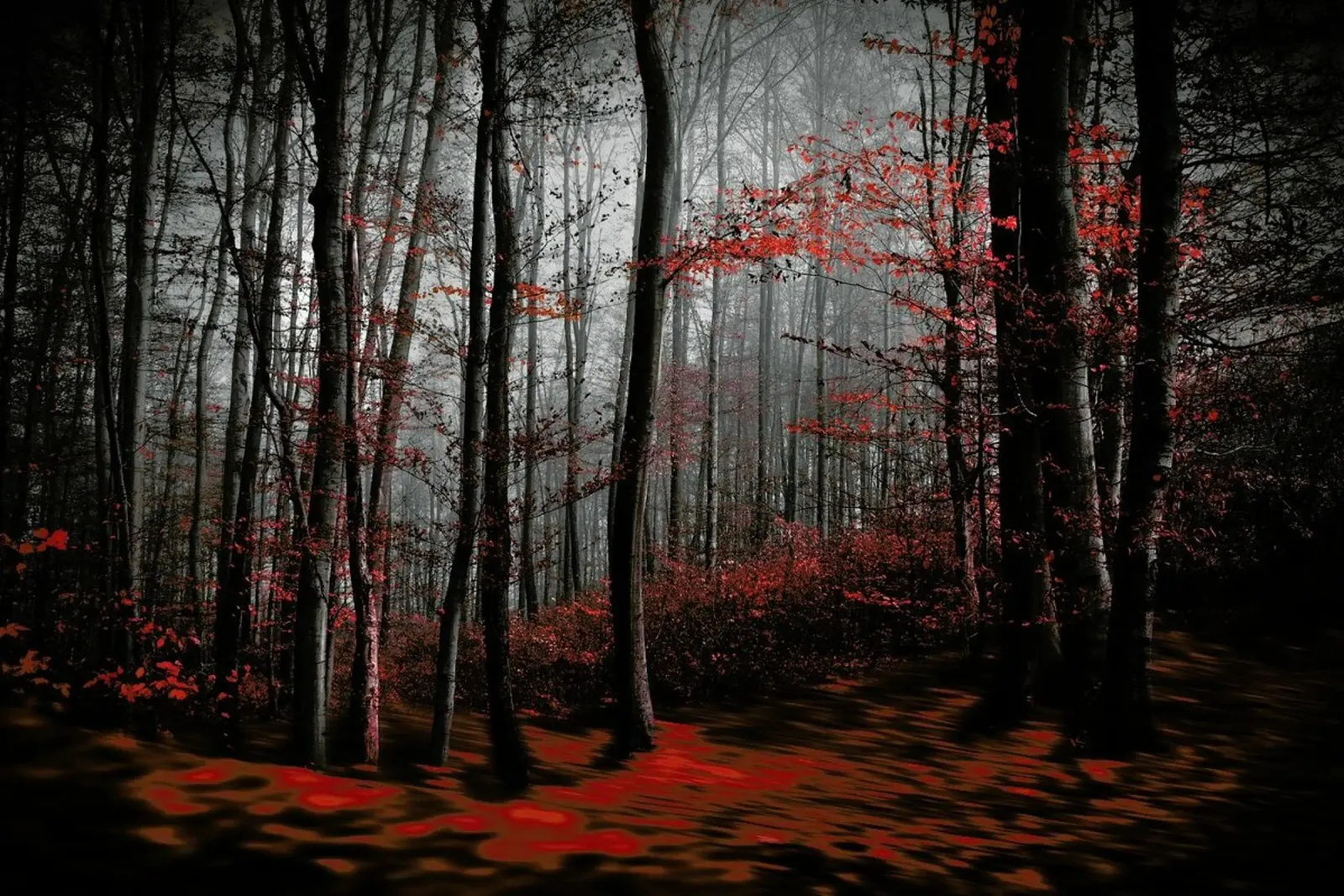 Bloody River - Samanta Krivec poster con telaio in alluminio da Pictufy