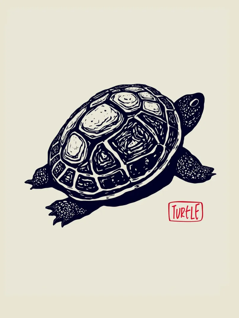 Timeless Turtle pellicola backlit da Indigo Rain