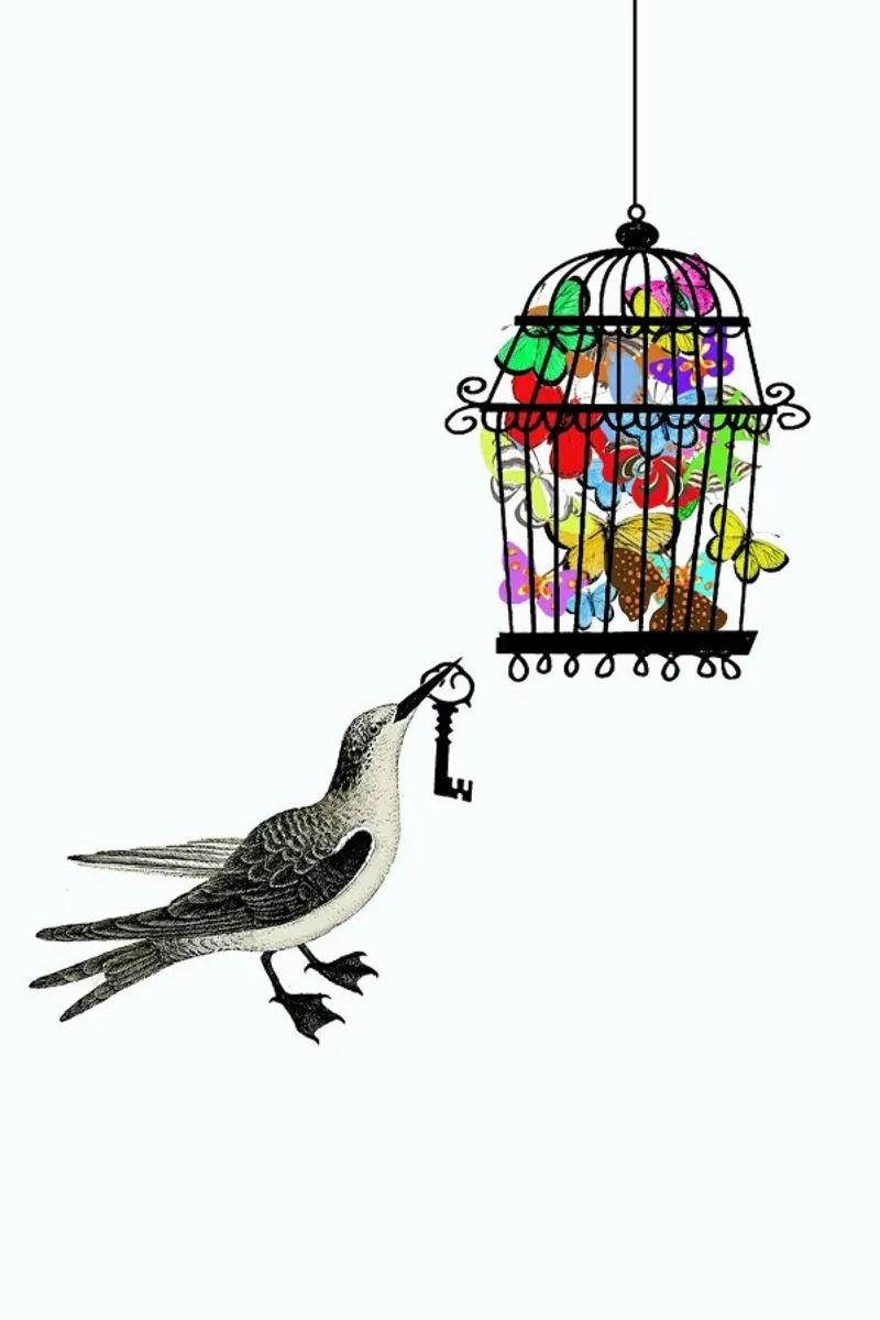 The bird has the key pellicola backlit da Rococco LA