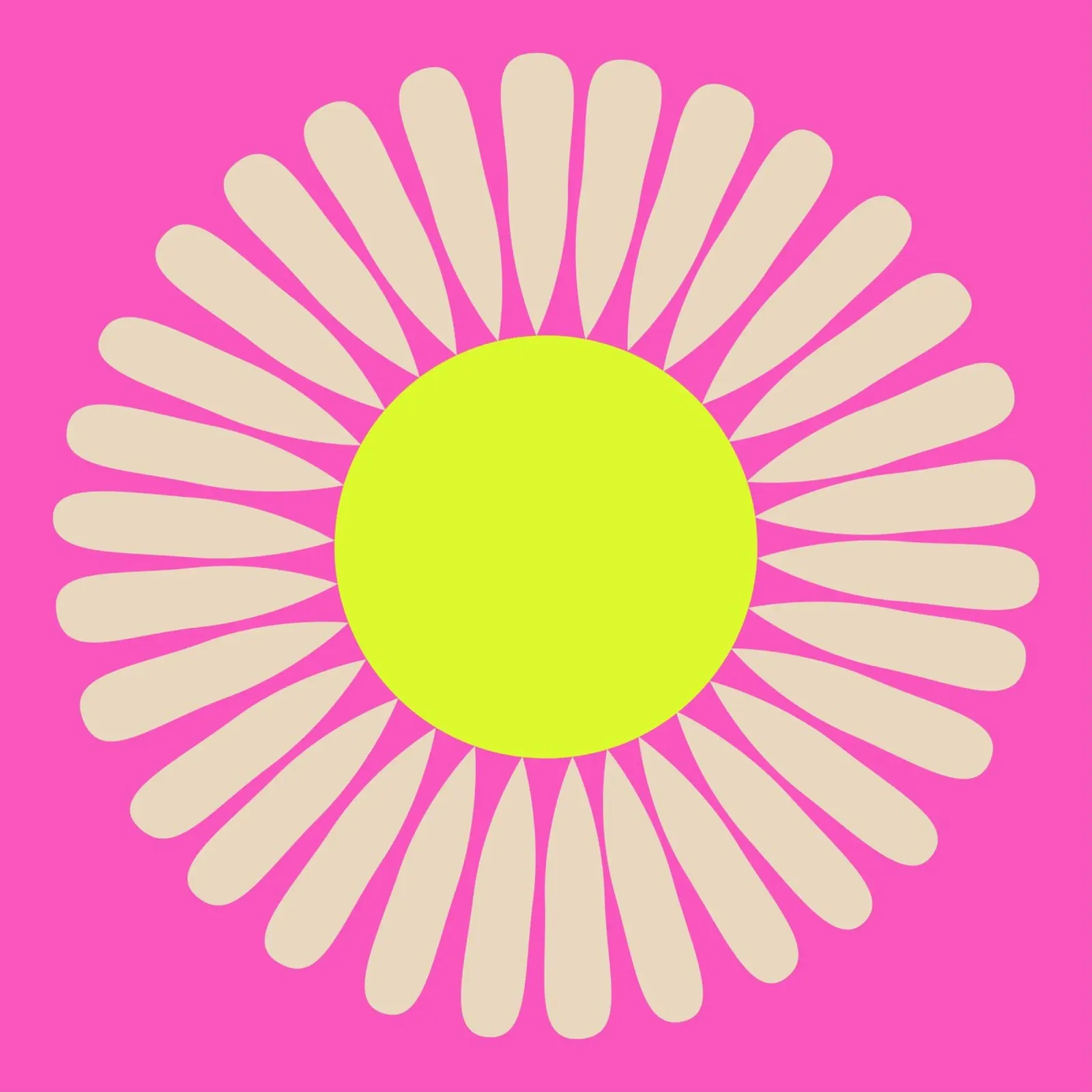 FUN Daisy plexiglass da All Colours