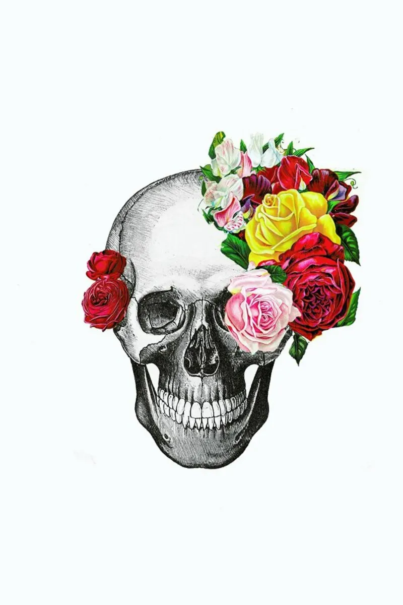 Skull with roses pellicola backlit da Rococco LA