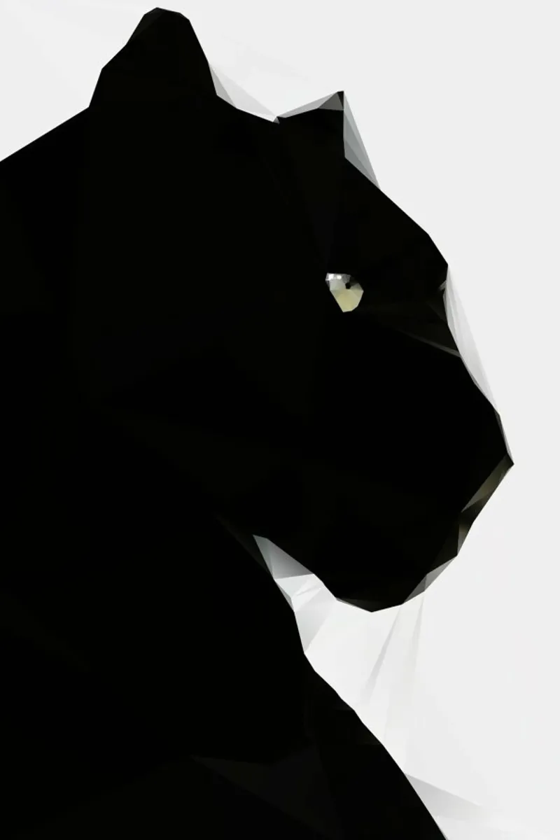 Black Panther Geo pellicola backlit da Three Of The Possessed