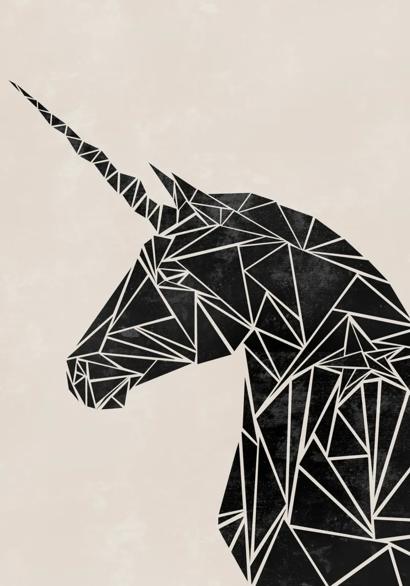 Mid Century Unicorn carta hahnemühle da BAINAI