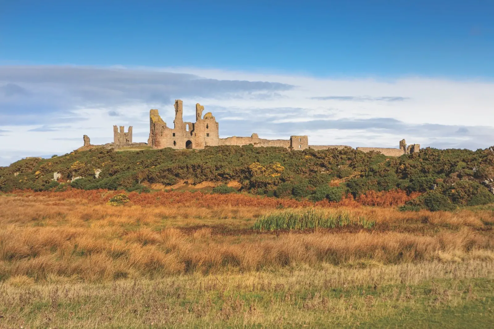 Dunstanburgh Castle pellicola backlit da Dave Hare Photography