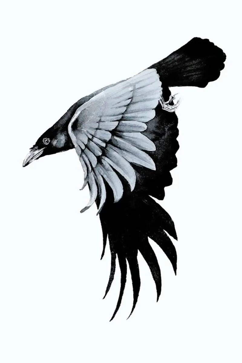 Flying Raven plexiglass da Karolina Kijak