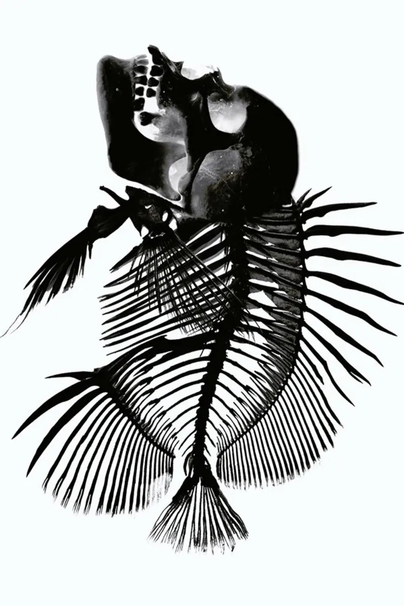 Fishskull pellicola backlit da a Love Supreme