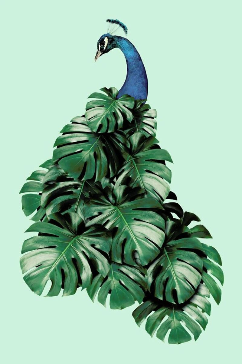 Monstera Bird poster by Jonas Loose