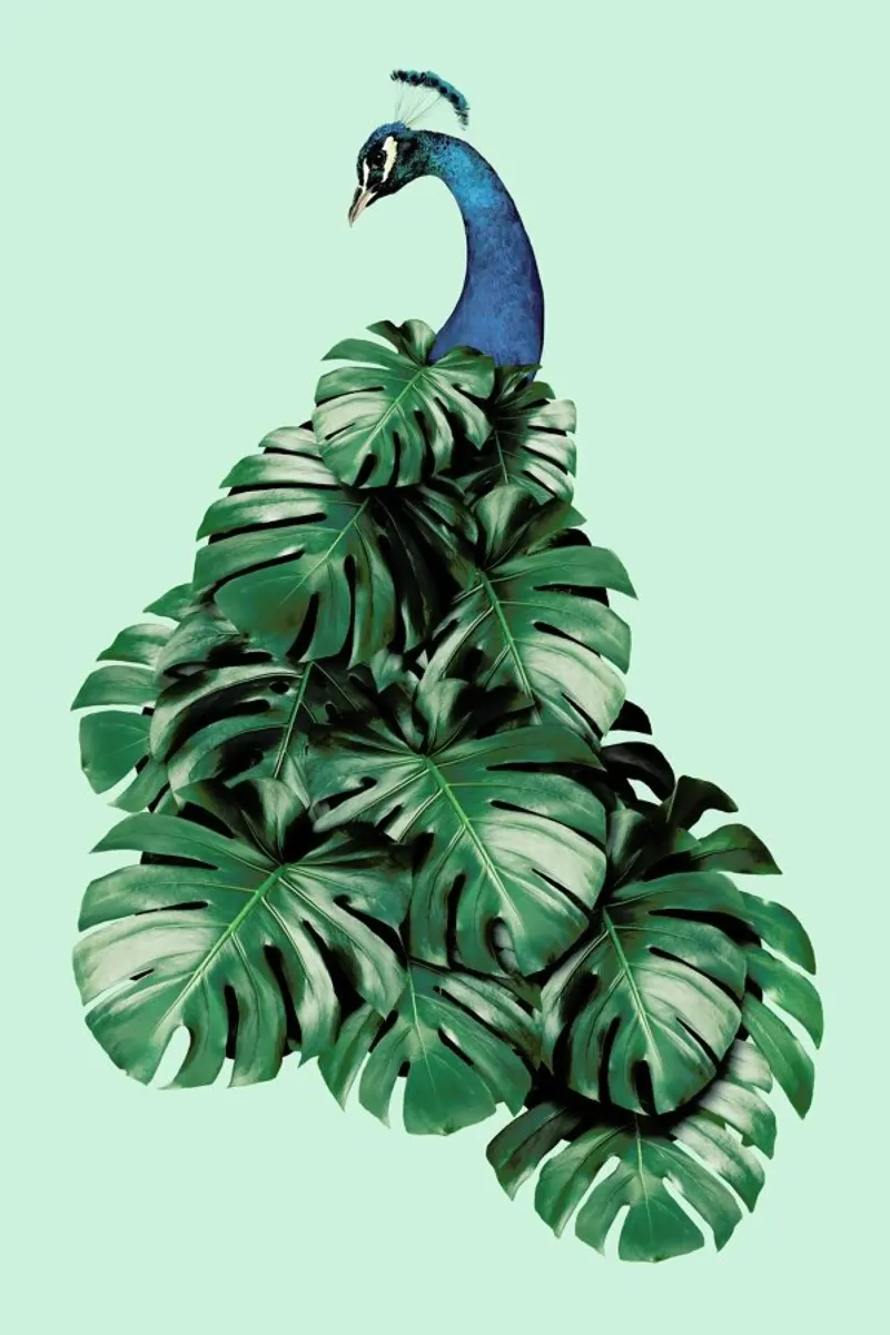 Monstera Bird alluminio dibond da Jonas Loose