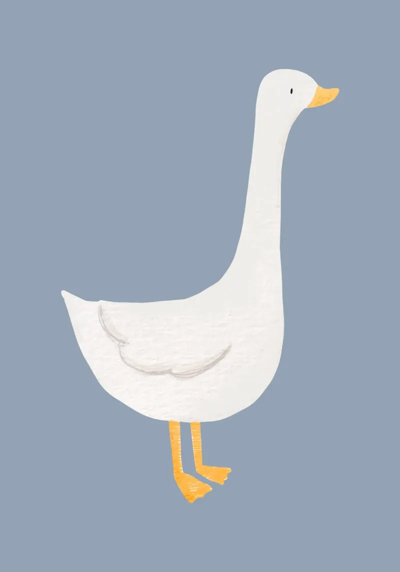 Light as a feather & self-confident canvas by KidzStudio