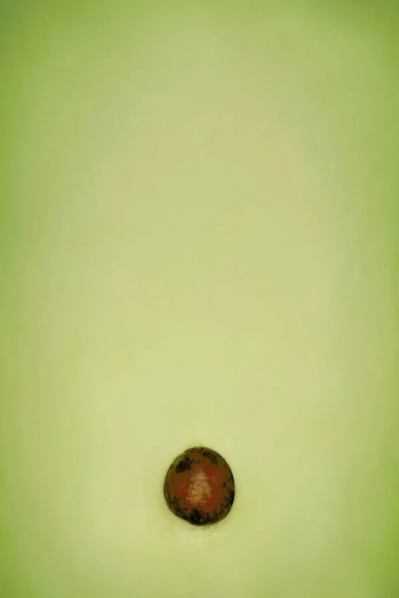 Avocado pellicola backlit da Lemon-apes