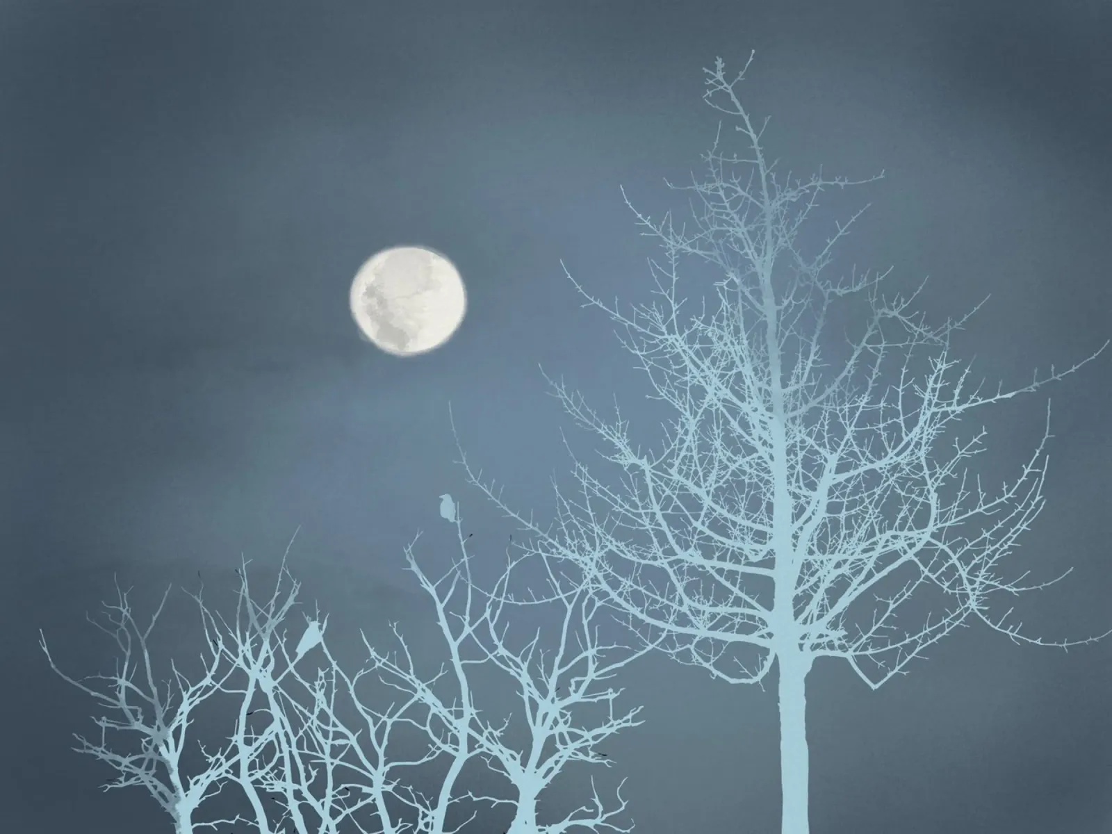 Luna fredda pellicola backlit da Little Dean