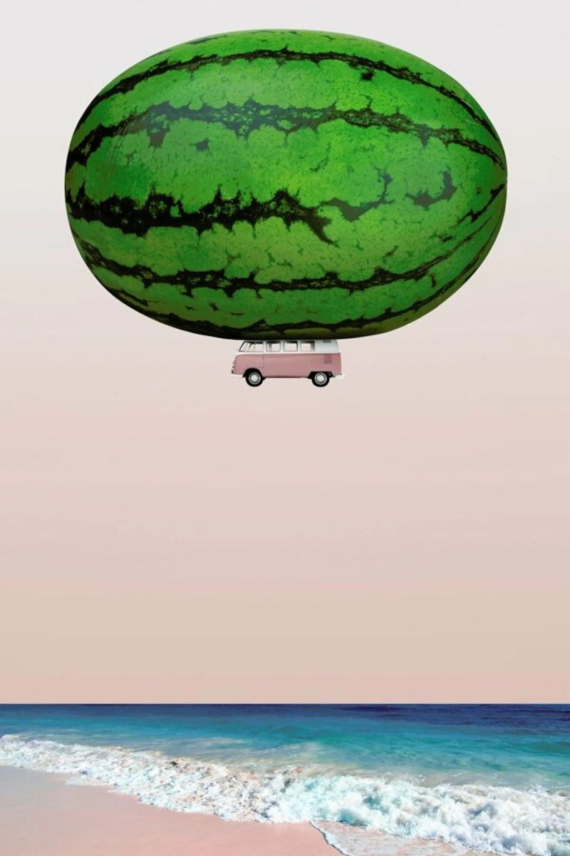 Melon Ship poster by Lemon-apes