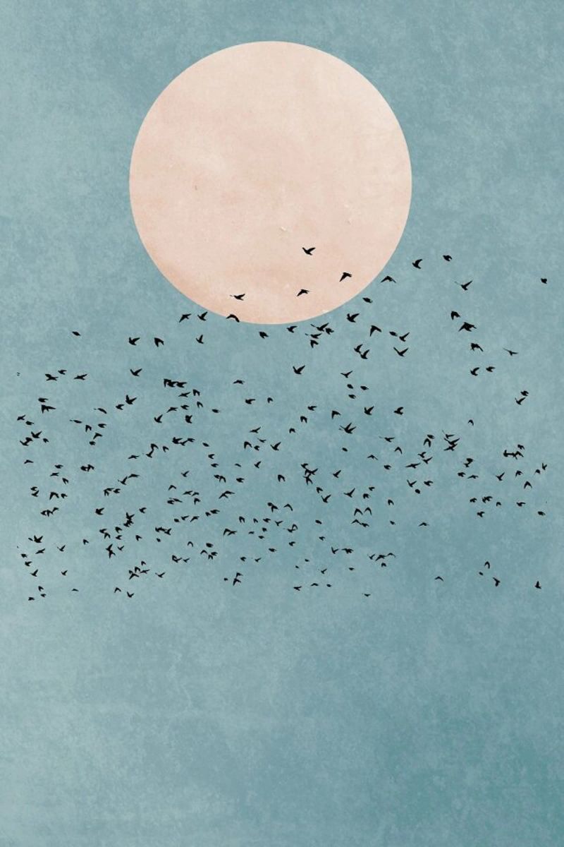 Fly Away Poster von Kubistika