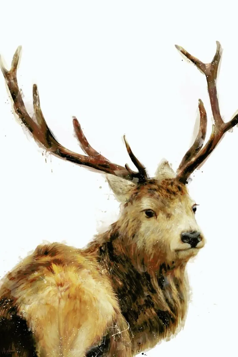 Winter Red Deer poster van Amy Hamilton