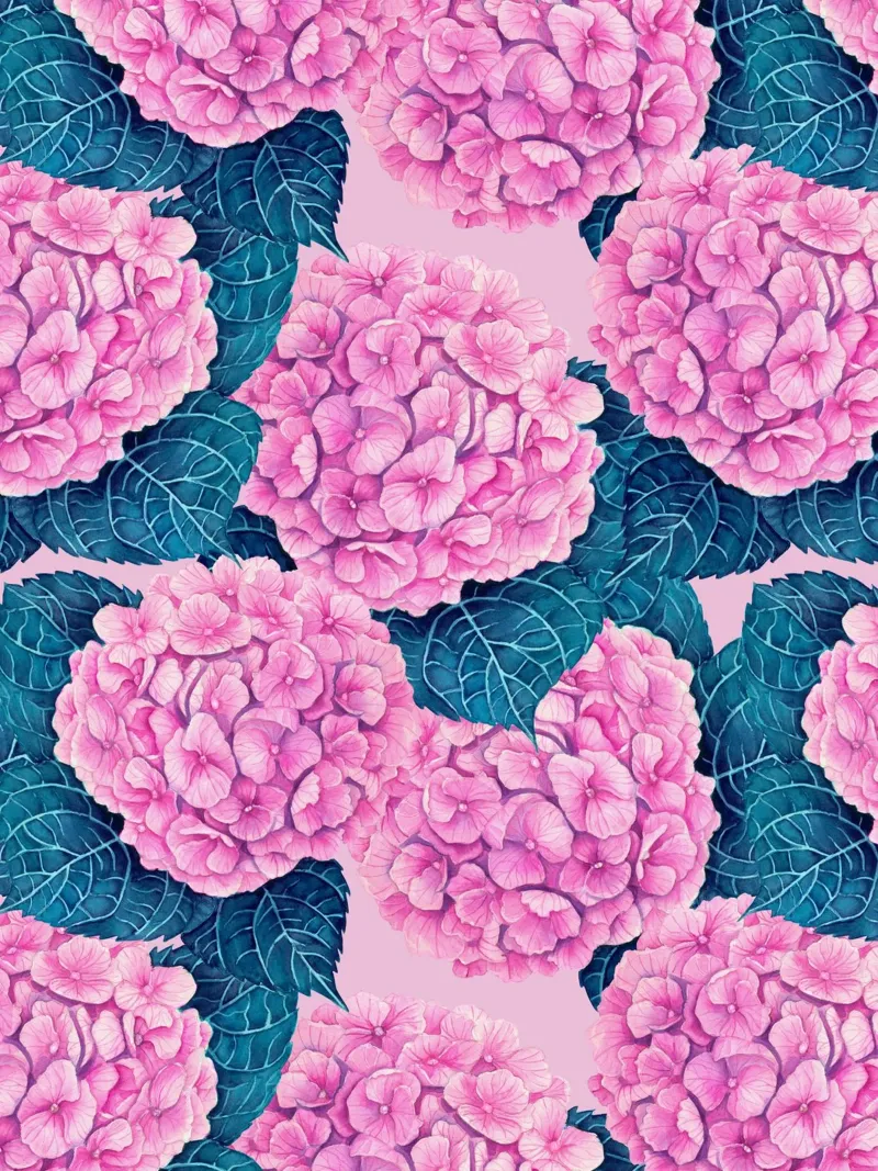 Hydrangea watercolor pattern, pink and blue canvas with Floater frame by Painted Nature