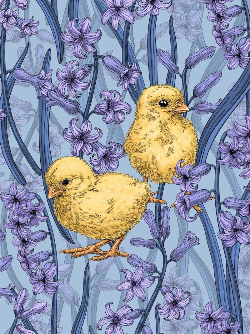 Hühner und Hyazinthe auf Himmelblau Hahnemühle von Painted Nature