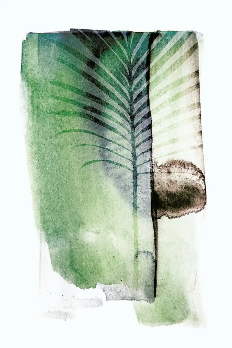 Jurassic Cycad pellicola backlit da Shot By Clint