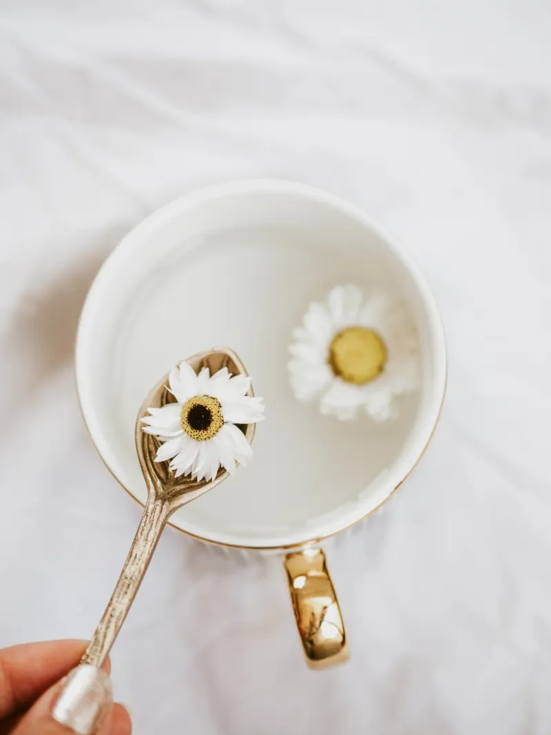 Vintage mug with daisies poster with plastic frame by youdiful