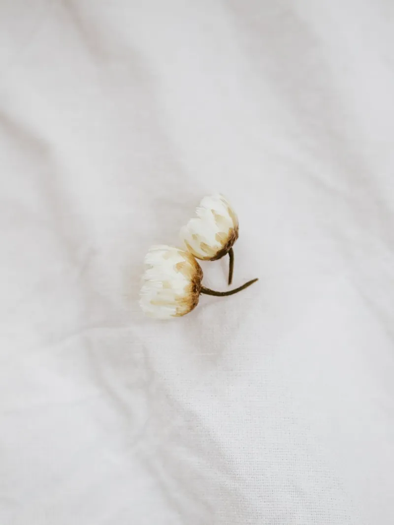 Amore floreale semplice - margherite su lino bianco carta hahnemühle da youdiful