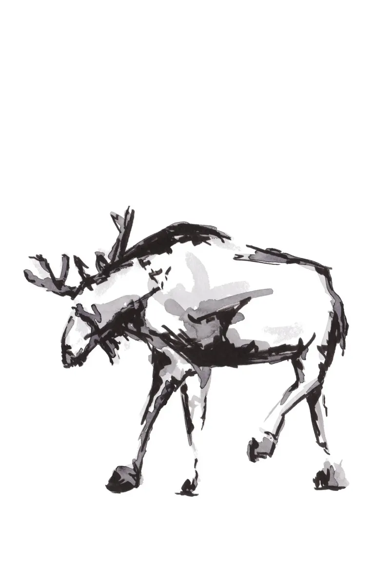 Elk poster con telaio in legno da KRUTH DESIGN