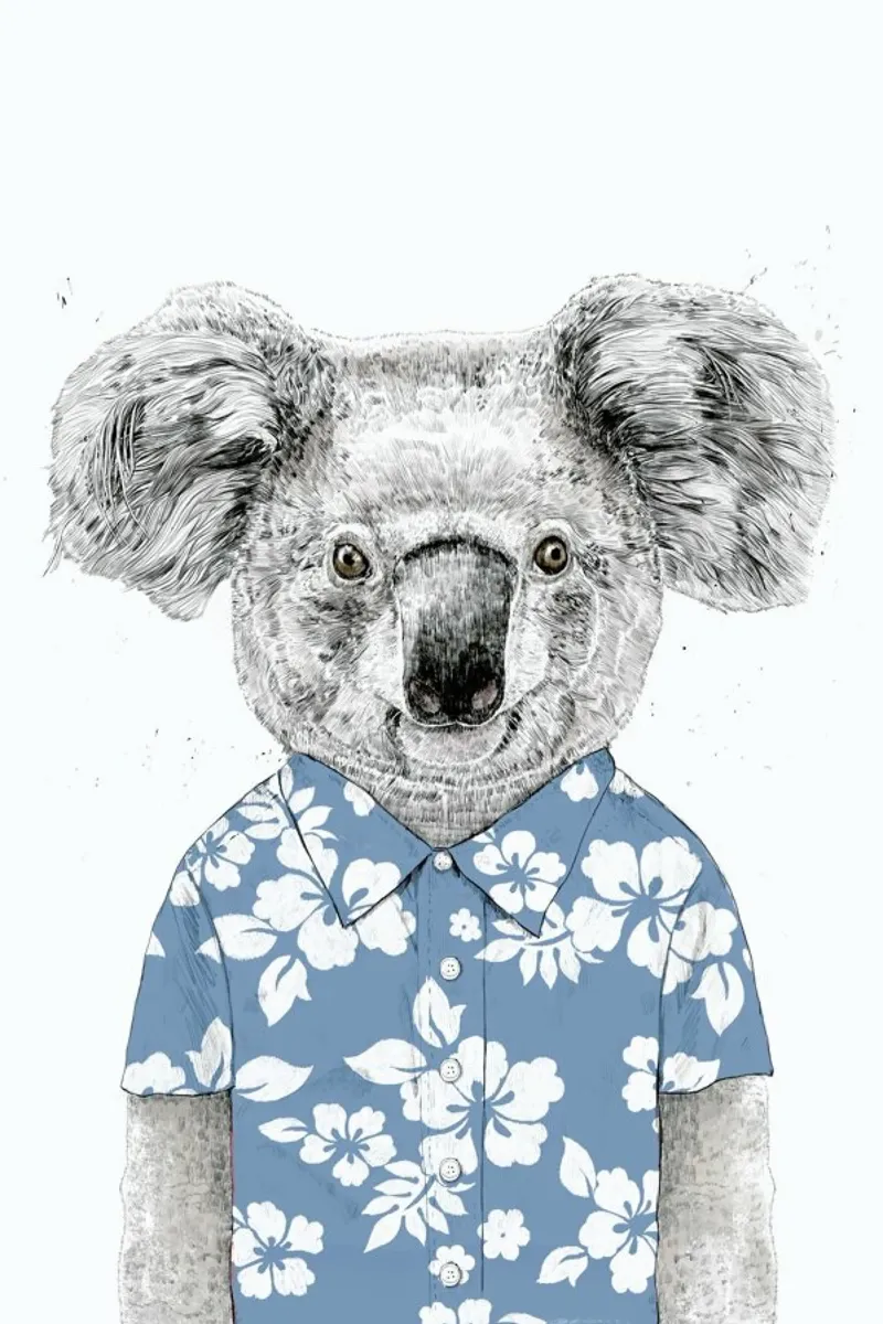 Summer Koala Blue plexiglass da Balazs Solti