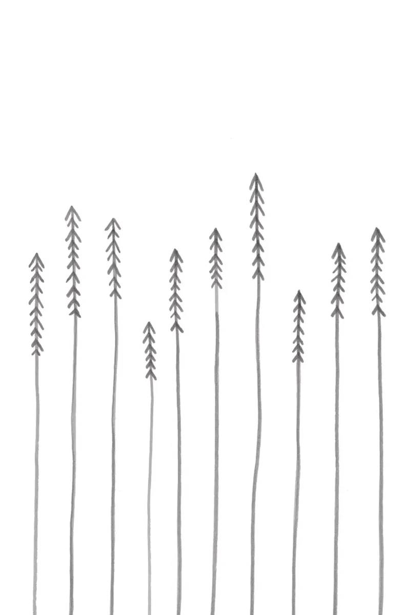 Pine Forest poster con telaio in alluminio da KRUTH DESIGN