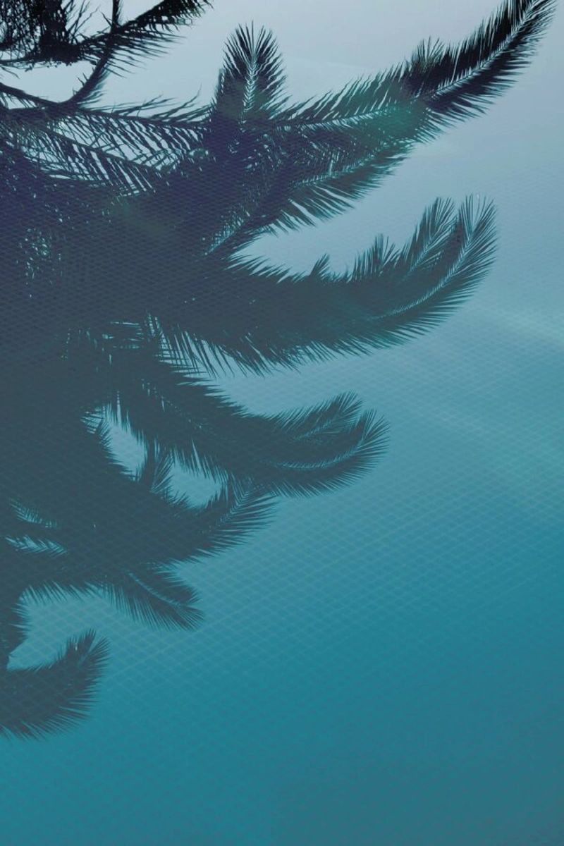Palms In The Pool poster da Studio Nahili
