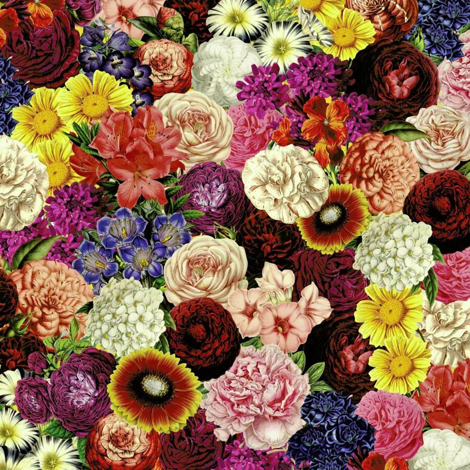 Spring Explosion poster da Tobe Fonseca