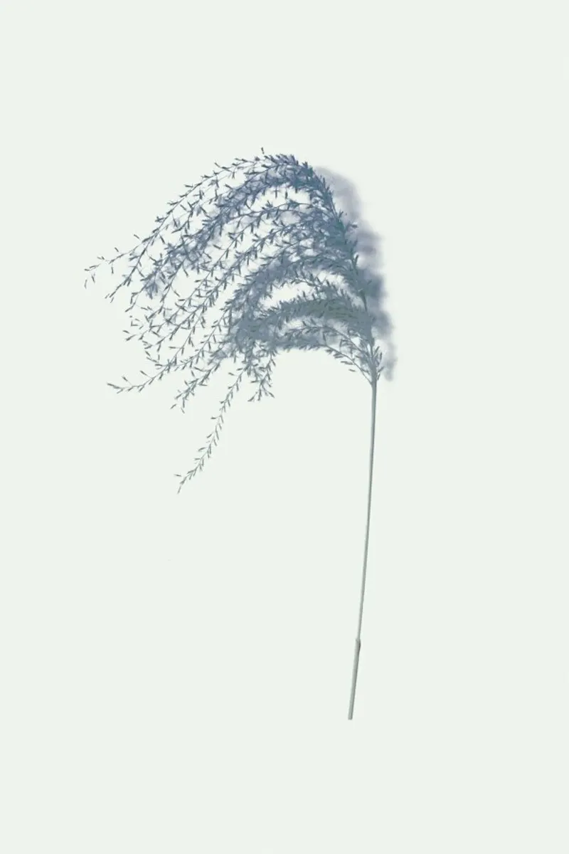 Spike I pellicola backlit da Elena Veronese