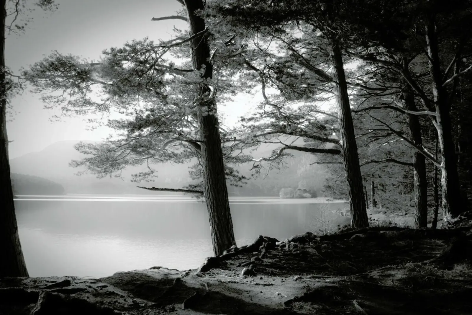 Loch An Eilein - Dorit Fuhg poster con telaio in legno da Pictufy