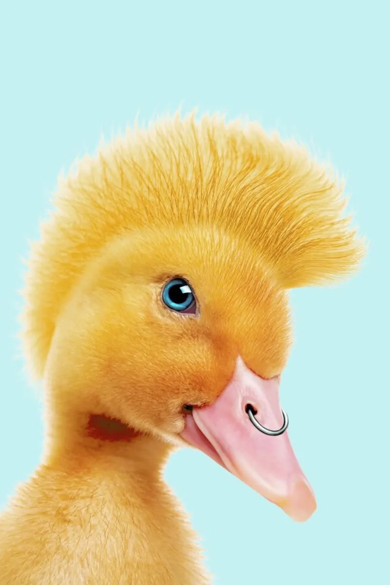 Rebel Duckling poster con marco de plástico de Jonas Loose