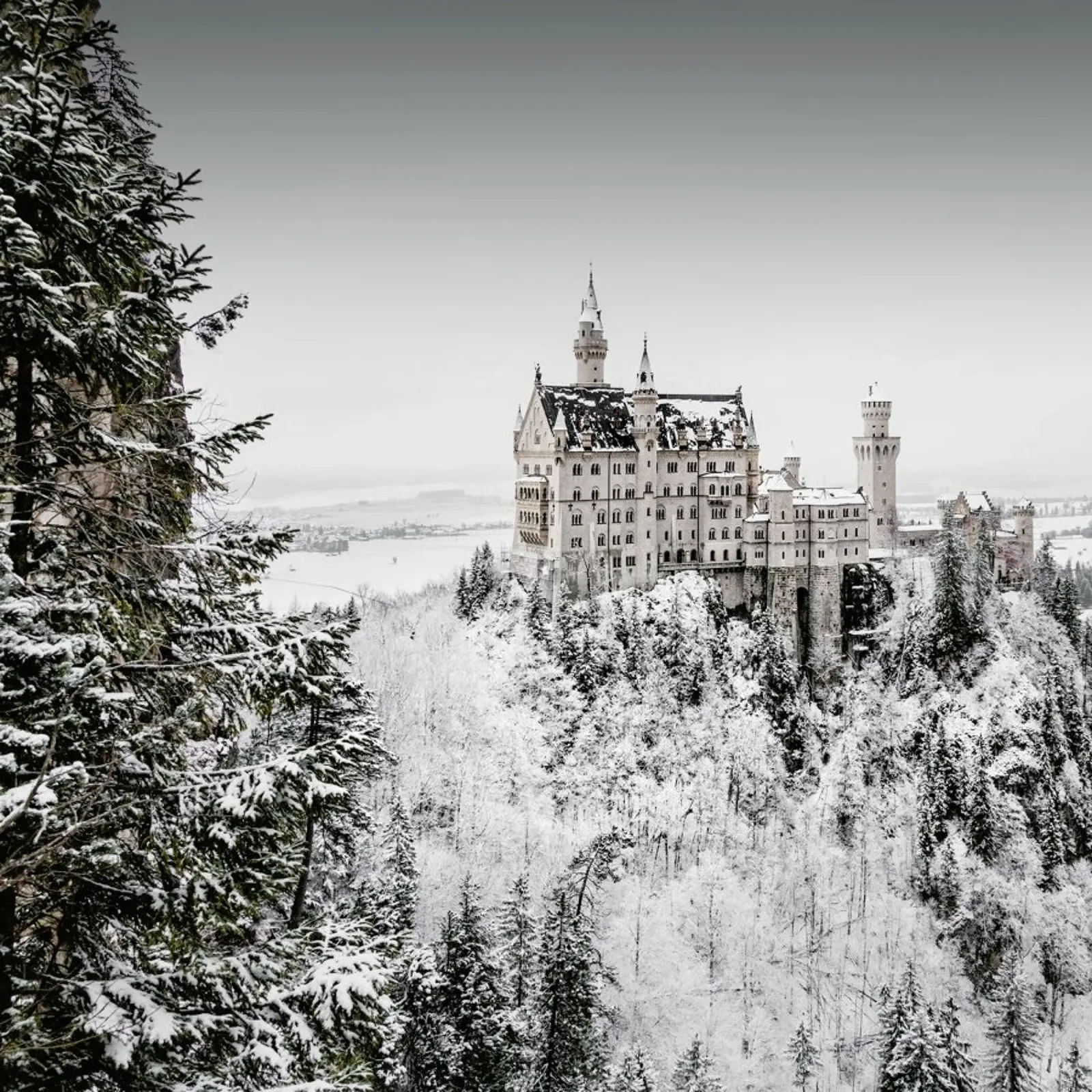 Germany - Neuschwanstein pellicola backlit da Håggard Photography | Ronny Behnert