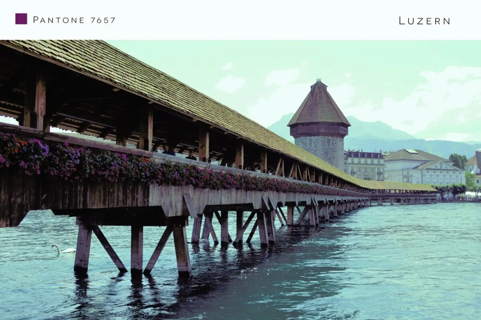 Luzern 7657 pellicola backlit da In Full Color