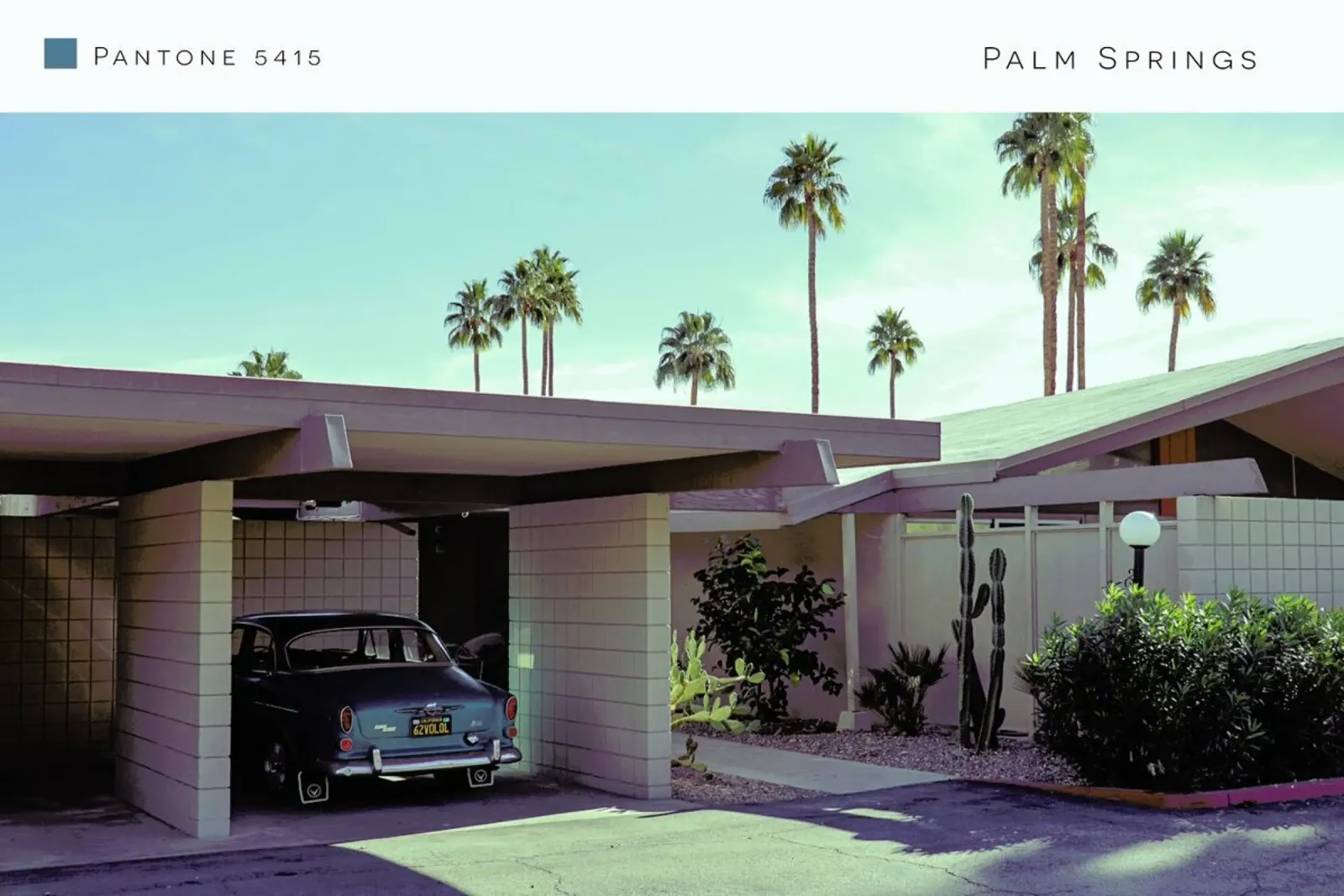 Palm Springs 5415 alluminio dibond da In Full Color
