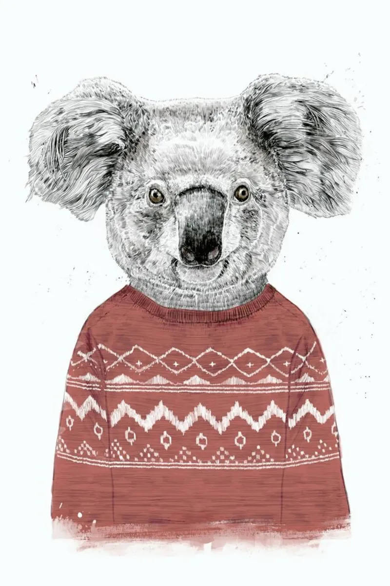 Winter Koala forex-plaat van Balazs Solti
