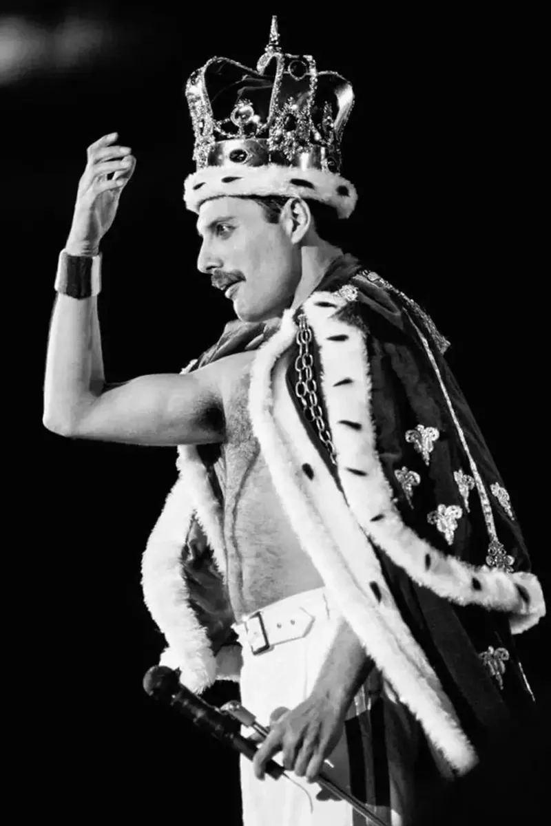 Freddie Mercury pellicola backlit da avissta