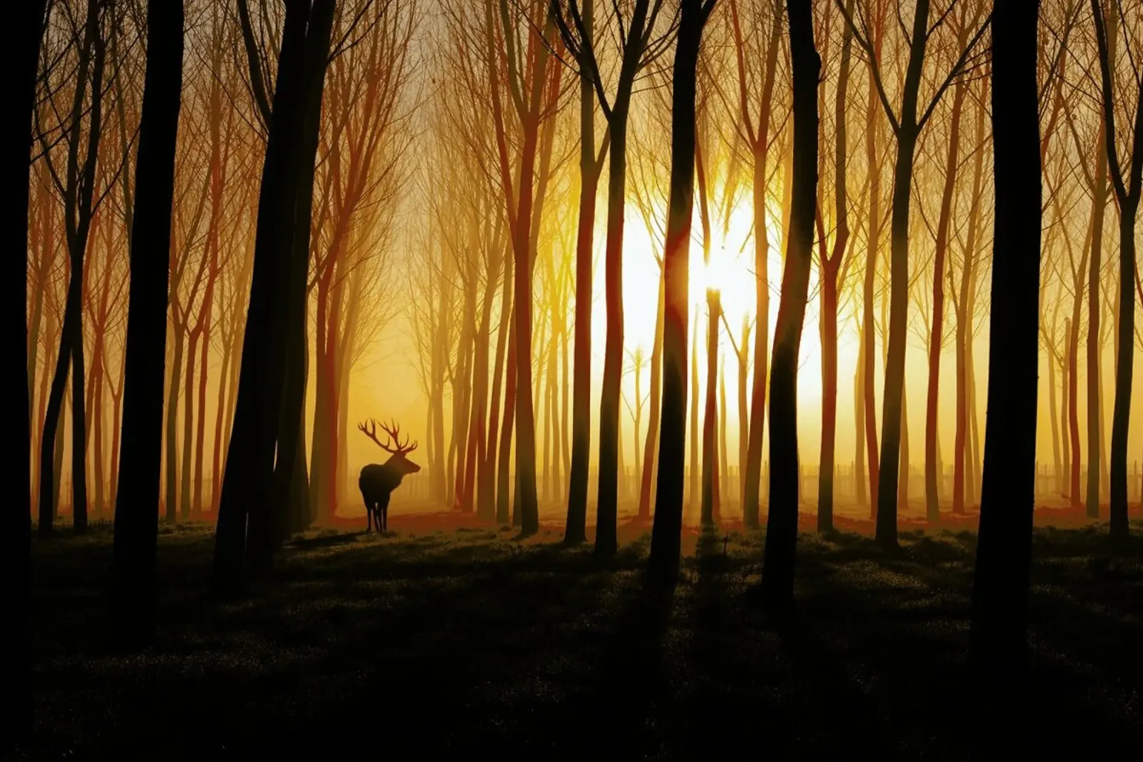 Once Upon a Time - Nafets Norim metacrilato de Pictufy