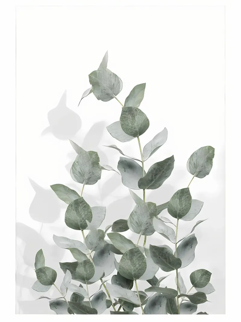 Eucalyptus pellicola backlit da Manhmai