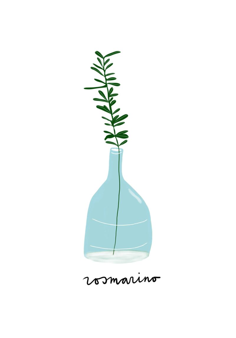 Rosemary in a Blue Vase – Minimalist Botanical Art Print poster da Studio Patruschka