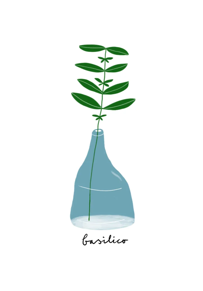 Cucina italiana erbe aromatiche basilico poster con telaio in legno da Studio Patruschka
