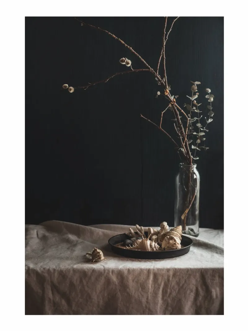 Still life with shells and branches - Natural elegance for canvas by Augenblicke-foto