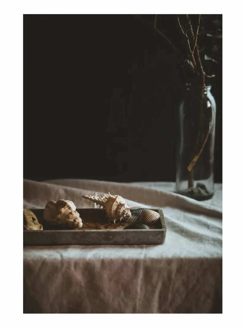 Still life with shells and branches - Natural elegance for canvas by Augenblicke-foto